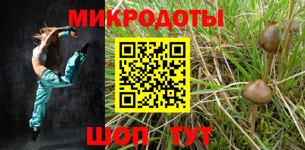 Ивантеевка  Псилоцибиновые грибы мухоморы  Галлюциногенные грибы Psilocybine cubensis  Вход с VPN 